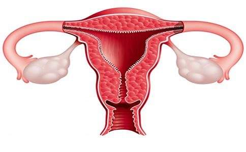 子宫内膜厚度和试管的关系