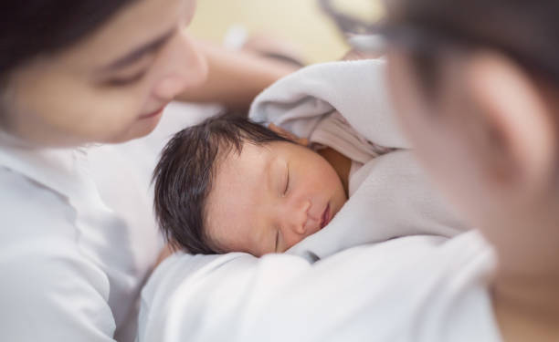 供精试管婴儿多少钱